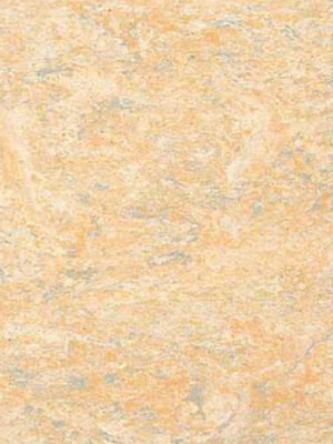 wpro-fl501 Profilor Linoleum 501 Hellbeige Naturboden