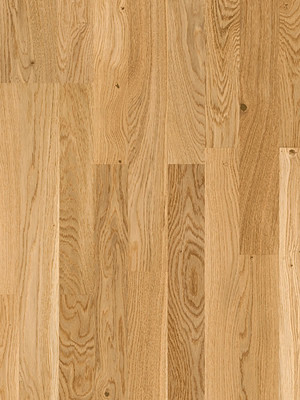 Joka Classic 435 SB Kingston Eiche