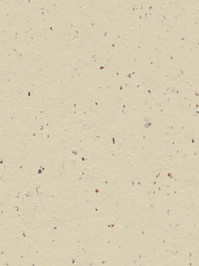wfwc3584 Forbo Linoleum Uni white chocolate Marmoleum Cocoa