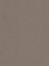 wfwc3580 Forbo Linoleum Uni milk chocolate Marmoleum Cocoa