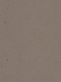 wfwc3580 Forbo Linoleum Uni milk chocolate Marmoleum Cocoa