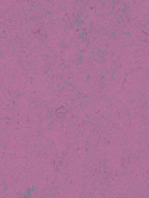 wfwco3740 Forbo Linoleum Uni purple glow Marmoleum...