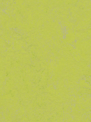 wfwco3742 Forbo Linoleum Uni green glow Marmoleum Concrete