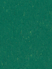 wfwp3649 Forbo Linoleum Uni greenwood Marmoleum Piano