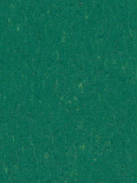 wfwp3649 Forbo Linoleum Uni greenwood Marmoleum Piano