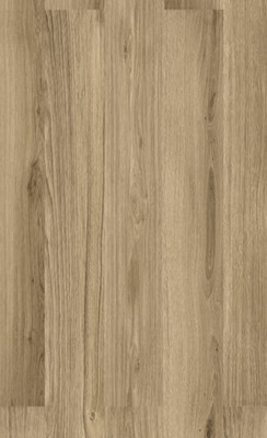 wBAG8001 Cortex Designatura Kork Parkett Steineiche...