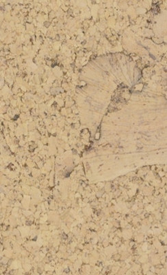 Muster: m-wBLX2011 Cortex Corknatura Korkparkett Korkboden Rapid Sand lackiert