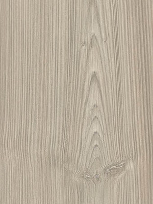 wH533124 Haro Tritty 100 Landhausdiele Pinie Asturia, 4-V...