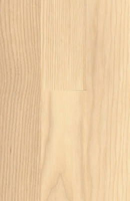 wH531988 Haro Serie 4000 Holzparkett Esche lichtwei...