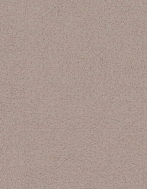 wgs0035 Gerflor Saga² Designbelag SL Spider Taupe...