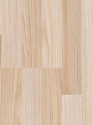 wP1426399 Parador Basic 200 Laminat Esche geschliffen hochwertig, 3-Stab AUSLAUFARTIKEL