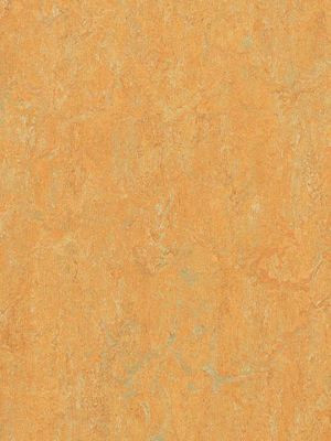 wmr3847-2,5 Forbo Marmoleum Real golden saffron Linoleum Naturboden