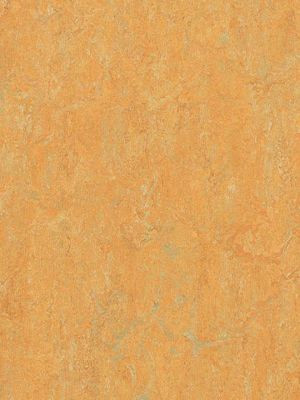 wmr3847-2,5 Forbo Marmoleum Real golden saffron Linoleum...