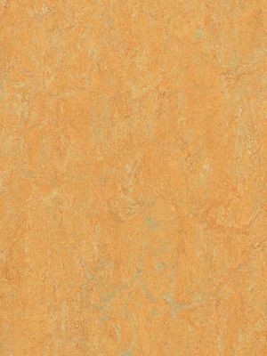 wmr3847-2,5 Forbo Marmoleum Real golden saffron Linoleum...