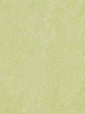 wmr3881-2,5 Forbo Marmoleum Real green wellness Linoleum Naturboden