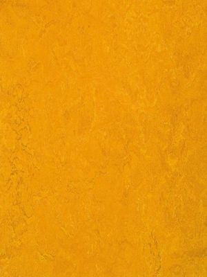 wmf3125-2,5 Forbo Marmoleum Fresco golden sunset Linoleum Naturboden