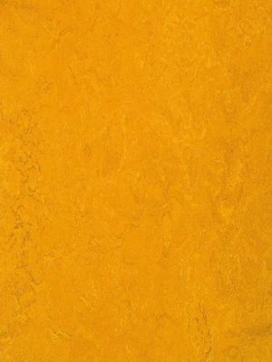 wmf3125-2,5 Forbo Marmoleum Fresco golden sunset Linoleum...