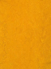 wmf3125-2,5 Forbo Marmoleum Fresco golden sunset Linoleum...