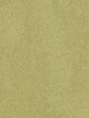 wmf3265-2,5 Forbo Marmoleum Fresco avocado Linoleum...