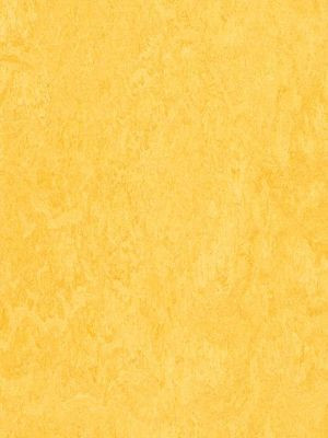 wmf3251-2,5 Forbo Marmoleum Fresco lemon zest Linoleum Naturboden