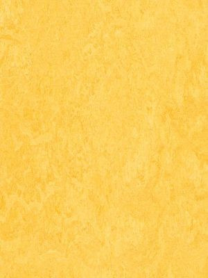 wmf3251-2,5 Forbo Marmoleum Fresco lemon zest Linoleum...