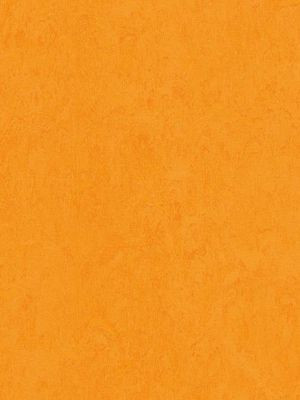 wmf3262-2,5 Forbo Marmoleum Fresco marigold Linoleum Naturboden