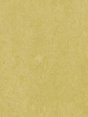 wmf3259-2,5 Forbo Marmoleum Fresco mustard Linoleum Naturboden