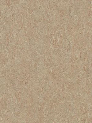 wmt5803-2,5 Forbo Marmoleum Terra weathered sand Linoleum Naturboden