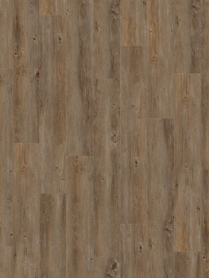 Gerflor Creation 55 Solid Clic Buffalo  Designbelag zum...