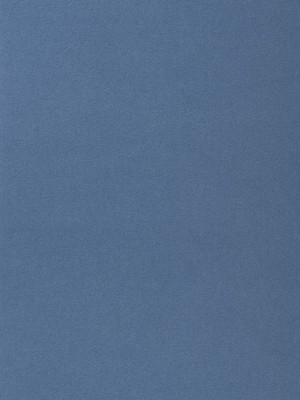 wVP003H91 Vorwerk Passion 1000 Teppichboden getufteter...