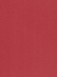 wProAN1200 Profilor Anolta Objekt Teppichboden Morgenrot