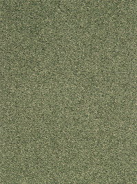 wProRA2300 Profilor Racoci Objekt Teppichboden Englischgrün