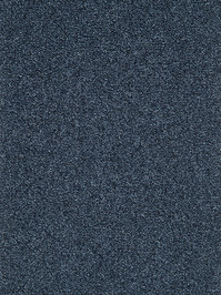 wProRA7800 Profilor Racoci Objekt Teppichboden Nachtblau