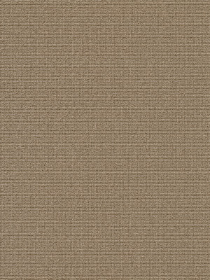 Muster: m-wVES087G04 Vorwerk Best of Living Essential 1008 Teppichboden getuftete Schlinge, strukturiert Cappucino