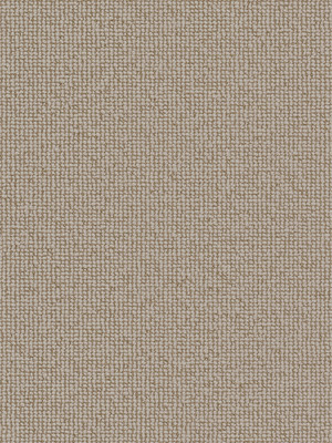 wVES088J21 Vorwerk Best of Living Essential 1008 Rustica Teppichboden getuftete Schlinge, strukturiert Sanftbeige