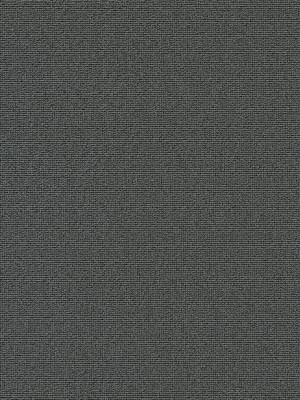 wVES089F13 Vorwerk Best of Living Essential 1008 Rustica Teppichboden getuftete Schlinge, strukturiert Anthrazit
