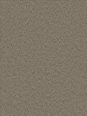 Muster: m-wVES087G02 Vorwerk Best of Living Essential 1008 Teppichboden getuftete Schlinge, strukturiert Samtbeige