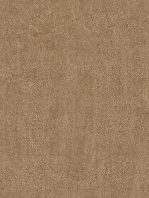 wVEX607G61 Vorwerk Best of Living Exklusive 1060 Safira Teppichboden Getufteter Soft-Saxony, uni Cappucino