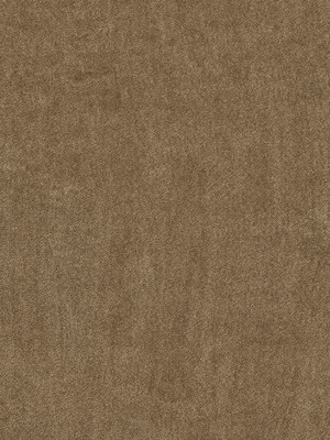 wVEX607G63 Vorwerk Best of Living Exklusive 1060 Safira Teppichboden Getufteter Soft-Saxony, uni Feldbraun