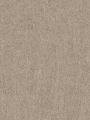 wVEX608H72 Vorwerk Best of Living Exklusive 1060 Safira Teppichboden Getufteter Soft-Saxony, uni Milchkaffee