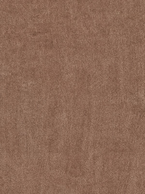 wVEX601N26 Vorwerk Best of Living Exklusive 1060 Safira Teppichboden Getufteter Soft-Saxony, uni Milchbraun