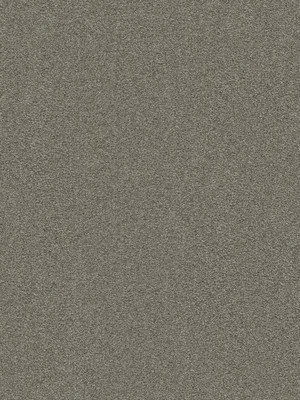 wVEX664G93 Vorwerk Best of Living Exklusive 1066 Romance Teppichboden Getufteter Soft-Velours, uni/Fris� Graubeige