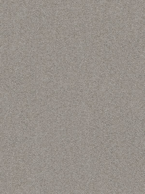 wVEX665Y14 Vorwerk Best of Living Exklusive 1066 Romance Teppichboden Getufteter Soft-Velours, uni/Fris� Steingrau