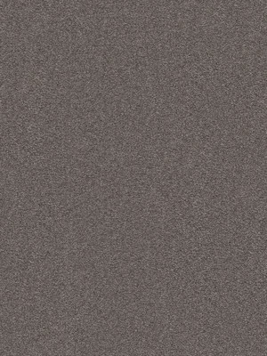wVEX665Y15 Vorwerk Best of Living Exklusive 1066 Romance Teppichboden Getufteter Soft-Velours, uni/Fris� Mausgrau
