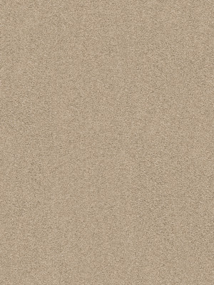 wVEX666C79 Vorwerk Best of Living Exklusive 1066 Romance Teppichboden Getufteter Soft-Velours, uni/Fris� Milchkaffee