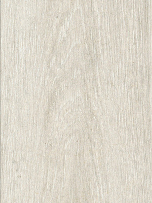 wD8F6001 Wicanders Wood Essence Kork Parkett Prime Arctic Oak Wood Design-Korkboden