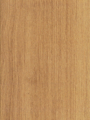 wD8F7001 Wicanders Wood Essence Kork Parkett Golden Prime Oak Wood Design-Korkboden