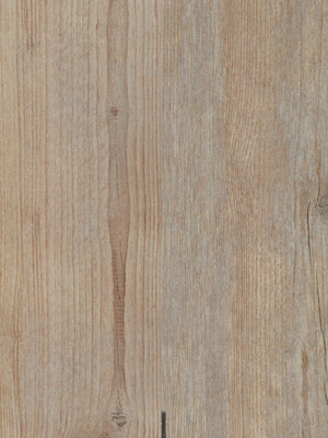 wD885003 Wicanders Wood Essence Kork Parkett Prime Rustikal Nebraska Wood Design-Korkboden