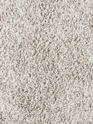 wChorus841 Infloor Emotion Teppichboden Beige  Chorus