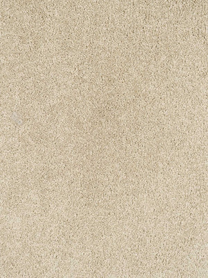 wChiffon830 Infloor Emotion Teppichboden Beige  Chiffon